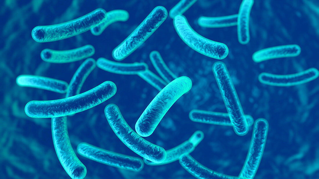Nicht-tuberkulöse Mykobakterien