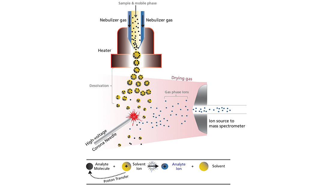 Schematische Darstellung des  Aufbaus einer typischen APCI-Quelle mit der Coronanadel