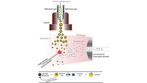 Schematische Darstellung des  Aufbaus einer typischen APCI-Quelle mit der Coronanadel