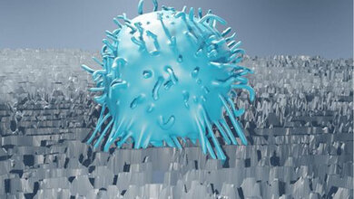 3D-Animation einer B-Zelle auf anodisiertem Aluminiumoxid. 