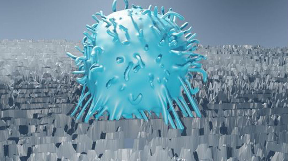 B_zelle.jpg 3D-Animation einer B-Zelle auf anodisiertem Aluminiumoxid.