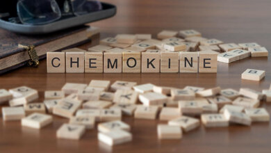 chemokine.jpg Holzbuchstaben, die das Wort Chemokine bilden.