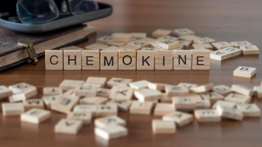 chemokine.jpg Holzbuchstaben, die das Wort Chemokine bilden.