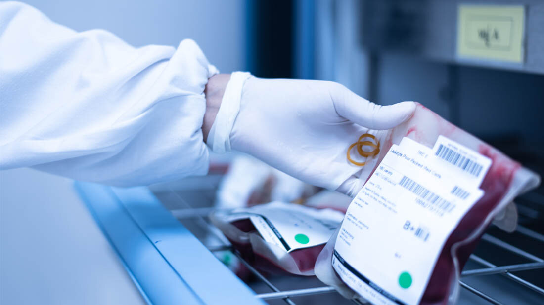 Blutspende.jpg Beutel mit Spenderblut