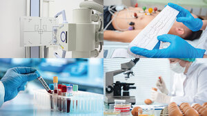 Photo collage of MT’s areas of work