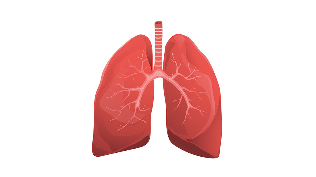 Grafik der Lungenflügel