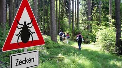 Warnung vor Zecken (FSME)
