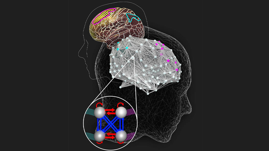 Intelligente Gehirne nehmen sich mehr Zeit für schwierige Aufgaben 