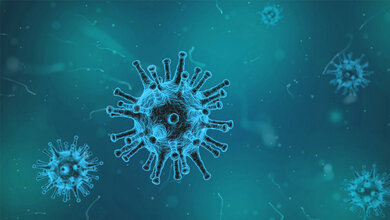 Graphisches Modell von Viruspartikeln