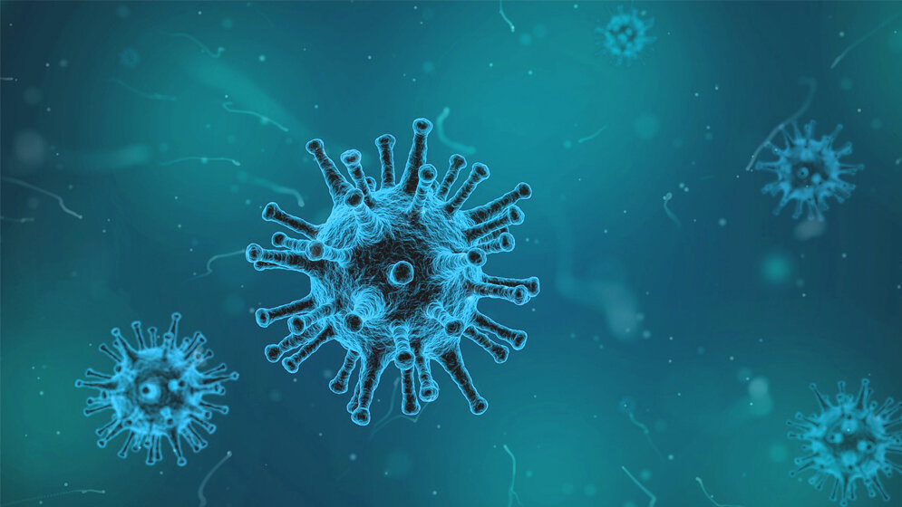 Graphisches Modell von Viruspartikeln