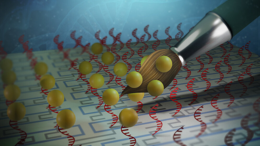 Ankerpunkte auf einem DNA-Molekül adressieren