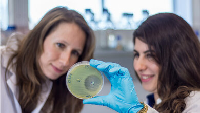 Hemmwirkung der Pseudomonas-Bakterien