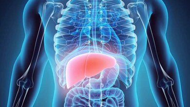 20. Deutscher Lebertag