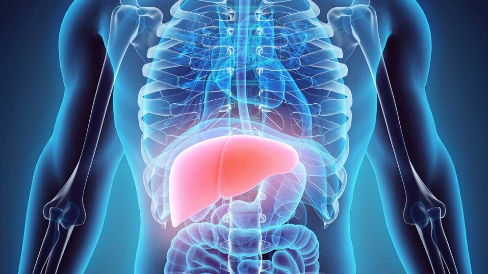Hepatitis B und C