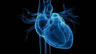 Titelbild zur Meldung über den Start des ersten digitalen Herzzentrums von iATROS in Zusammenarbeit mit der AOK Rheinland/Hamburg und der Asklepios Klinik St. Georg