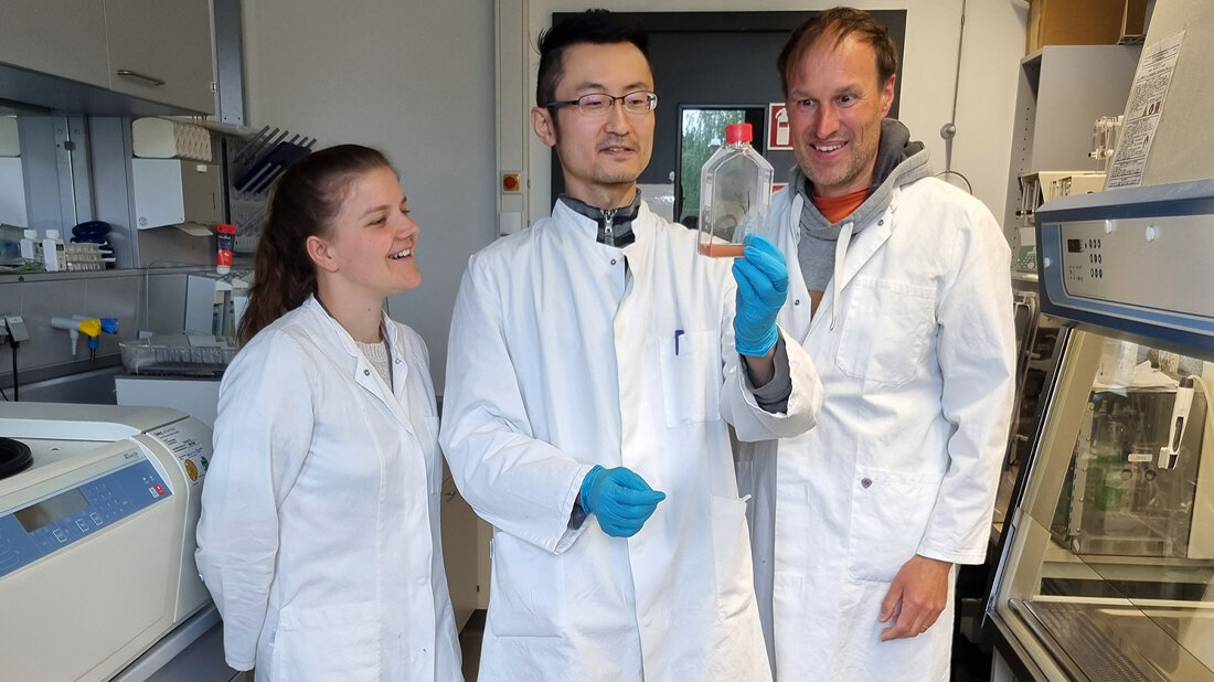Doktorandin Antonia Henne, Postdoc Dr Wei He und Prof. Dr. Karsten Hiller