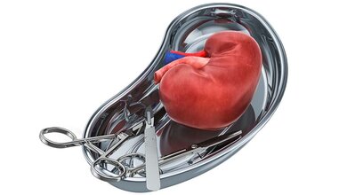 Organtransplantation-1.jpg 8.500 Menschen auf Wartelisten