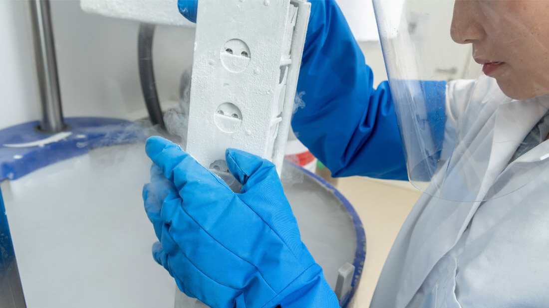 Kryokonservierung.jpg Herausnahme von eingefrorenen Zellen aus Kryokonservierung Tank mit Schutzhandschuhen und Gesichtsschutz.