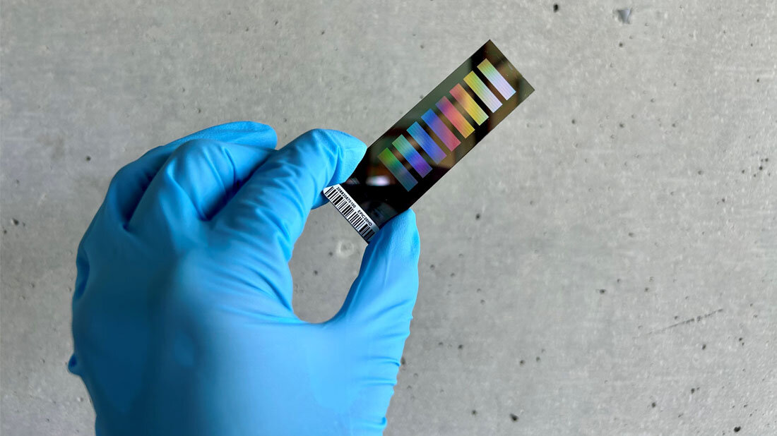 Methylom_Chip.jpg Eine Hand mit blauem Handschuh hält einen Methylom-Chip.