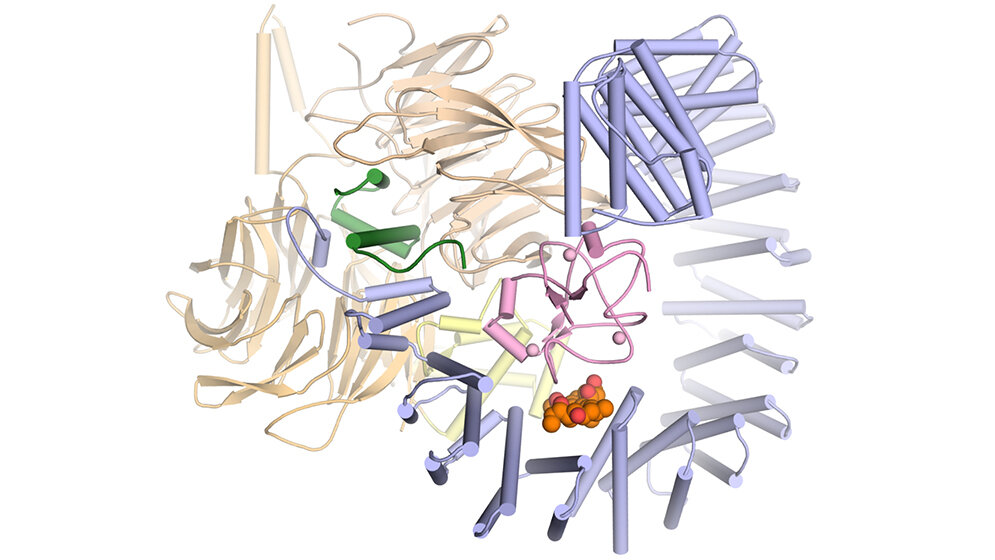 SF3B_Vlad_Pena_MPI_fuer_biophysikalische_Chemie.jpg SF3B