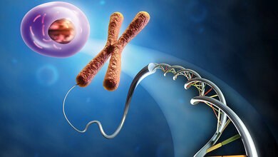 Die Entwicklung der Epigenetik