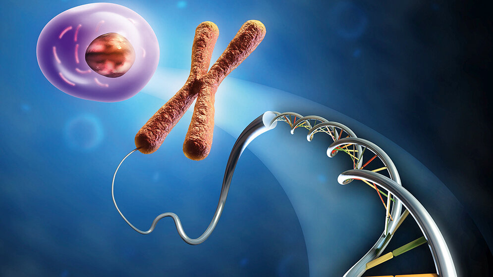 Die Entwicklung der Epigenetik