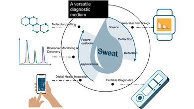 Grafisches Abstract der Studie.