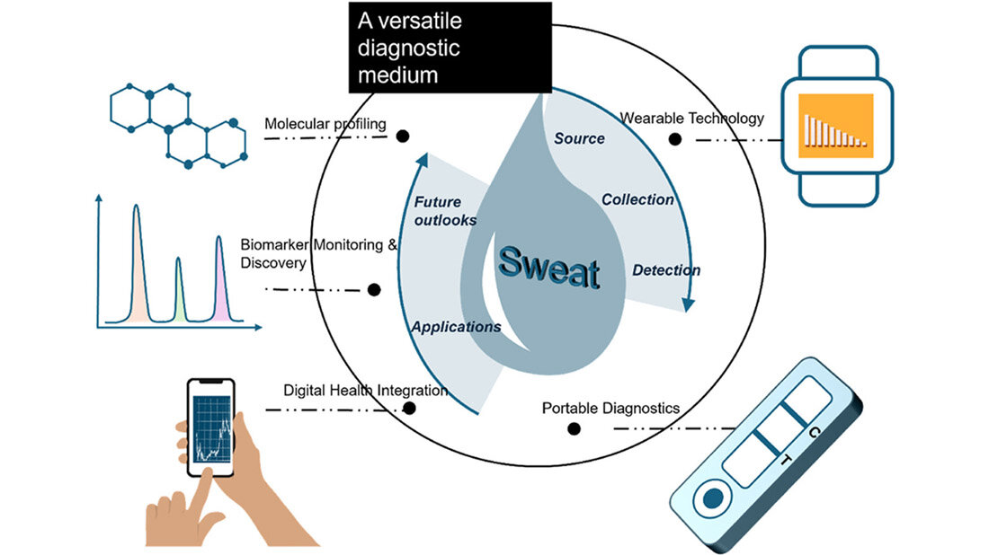 Grafisches Abstract der Studie.