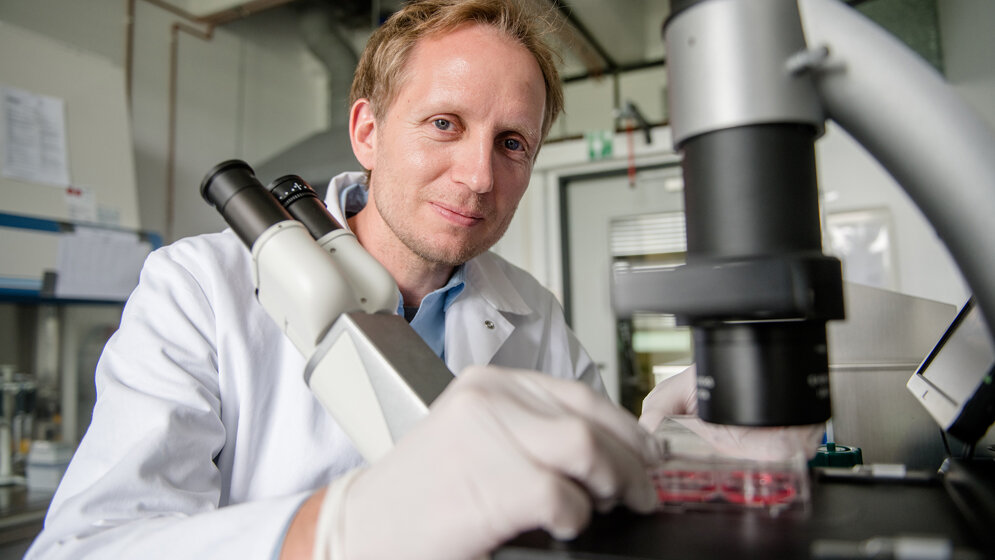 Thorsten_Mueller_forscht_in_Bochum_mit_sogenannten_Organoiden_aus_Stammzellen_RUB_Marquard.jpg Thorsten Müller forscht in Bochum mit sogenannten Organoiden