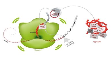 Defekte mRNA
