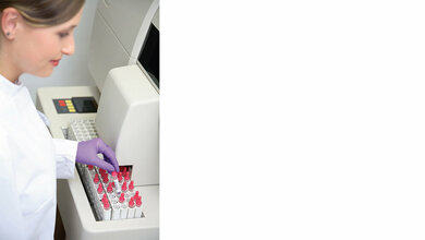 Erlaubnis zum Führen der Berufsbezeichnung