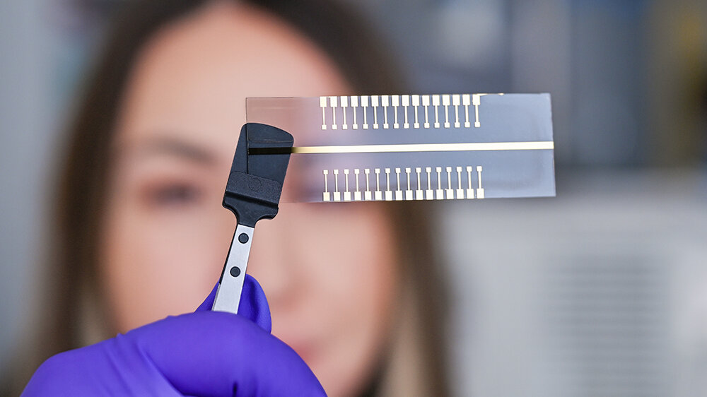 Extended-Gates-mit-32-Test-Pads.jpg Extended Gates mit 32 Test-Pads