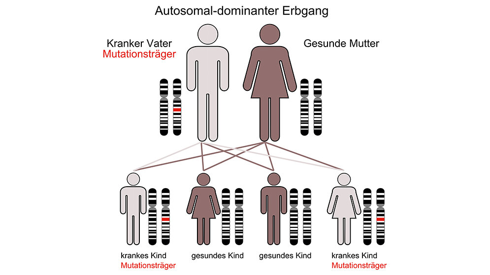 Diagnostik Li-Fraumeni-Syndrom