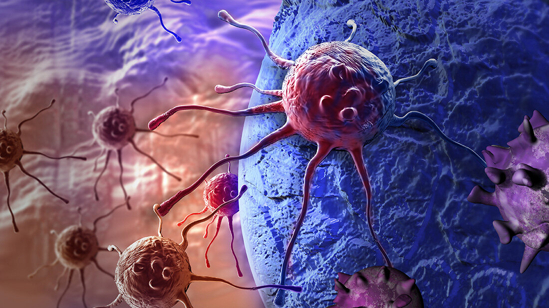 Fähigkeit der Krebszellen, die Enden ihrer Chromosomen, die Telomere, zu verlängern