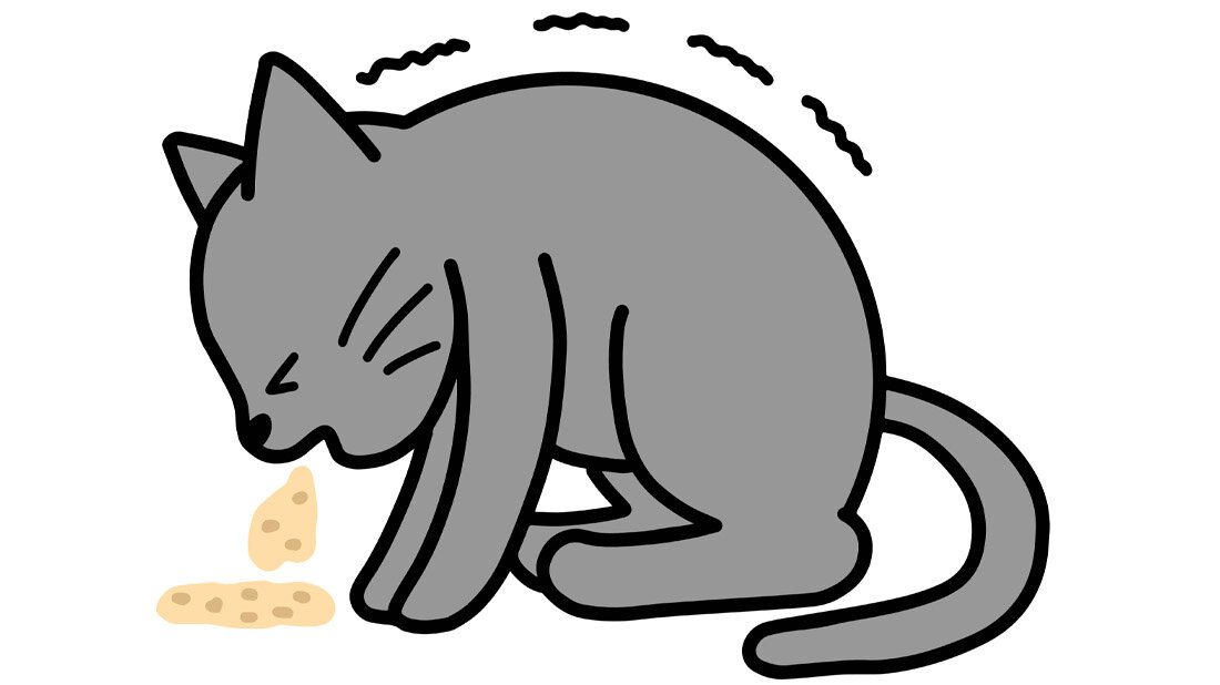Katze_erbricht.jpg Katze erbricht sich