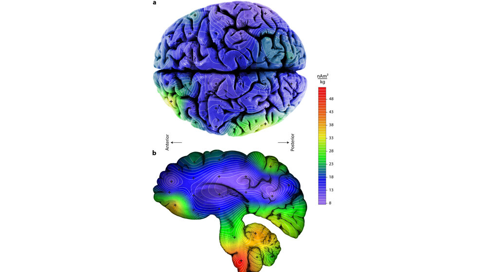 unterschiedliche Konzentrationen magnetischer Kristalle