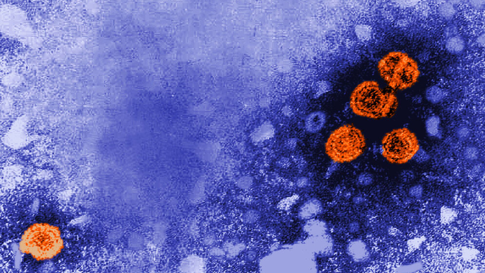 HBV