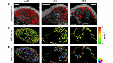 mULM-basierte Parameterkarten 
