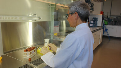 Stuhlproben werden vorbereitet