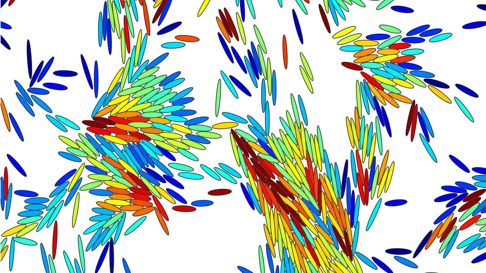 Bakterien_dargestellt_als_Ellipsen_organisieren_sich_als_Schwaerme_Hannah_Jeckel.jpg Bakterien (dargestellt als Ellipsen)