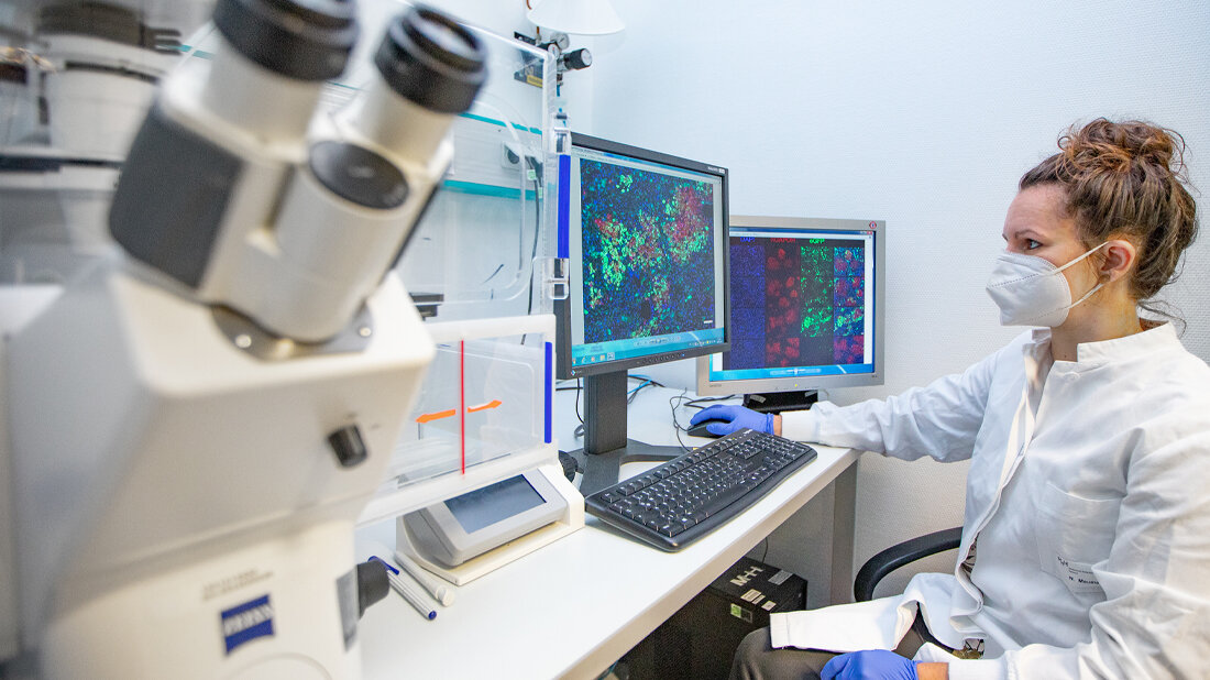 Gentaxi_MHH.jpg Gentherapie bei Lebererkrankungen, Dr. Nadja Meumann