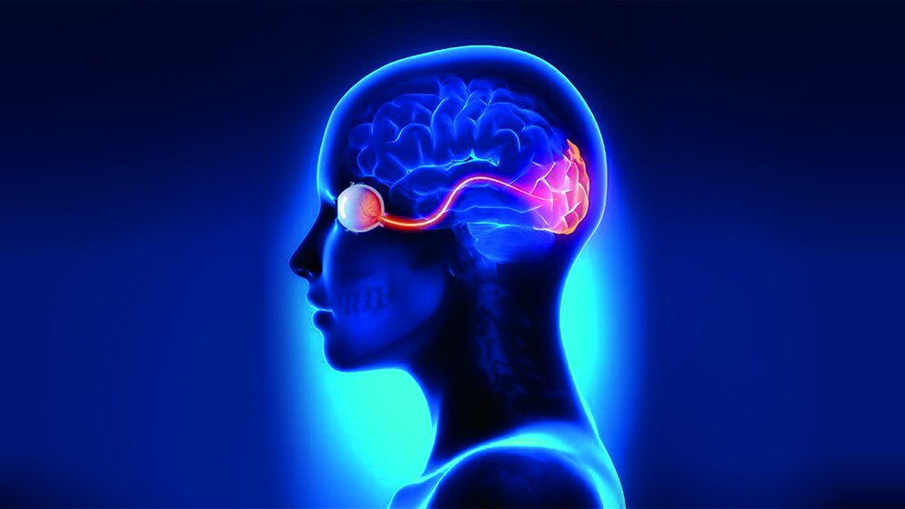 Neurologie