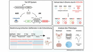 Therapieresistente, frühkindliche epileptische Enzephalopathien