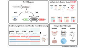 Therapieresistente, frühkindliche epileptische Enzephalopathien