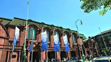 Interview mit DVTA-Vorstand Christiane Maschek