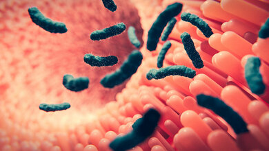 Zusammenhang von Parkinson und Darmflora