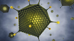 Akute virale Gastroenteritis (Teil 2)