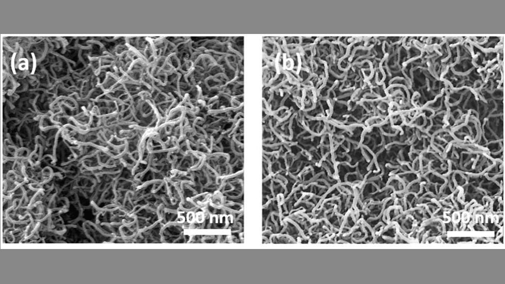 Elektronenmikroskopische Aufnahme von Nano-Drähten