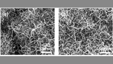 Elektronenmikroskopische Aufnahme von Nano-Drähten