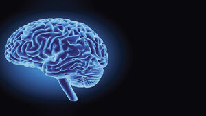 Suppression Head Impulse Paradigm (SHIMP)